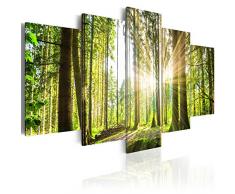 murando - Bilder 225x112 cm Vlies Leinwandbild 5 TLG Kunstdruck modern Wandbilder XXL Wanddekoration Design Wand Bild - Wald Natur Landschaft c-B-0098-b-n