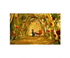 nobrand Rosengarten des Kleinen Prinzen DIY Rahmen Öl Leinwand Bilder Nach Zahlen Digitales Gemälde Nach Zahlen Wohnkultur