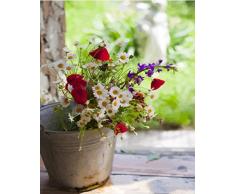 Viccc Retroklassische Malerei nach Zahlen DIY Blumen Ölbilder nach Zahlen Acrylmalerei Home Decor Wandbilder für WohnzimmerFreizeit- und Unterhaltungskunstwerke