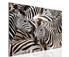Bilder 120 x 80 cm - Zebra Bild - Vlies Leinwand - Kunstdrucke -Wandbild - XXL Format - mehrere Farben und Größen im Shop - Fertig Aufgespannt !!! 100% MADE IN GERMANY !!! - Afrika - Tier 000831a