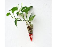 Klare Konusglas Wand Haengen Blumenvase Pflanzenflasche Wohnkultur