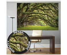 GREAT ART XXL Poster – Eichen Allee – Wandbild Dekoration Wald Natur Landschaft Sommer Forest Moos Mystik Oak Quercus Märchenwald Park Äste Foto-Tapete Wandtapete Fotoposter (140 x 100 cm)