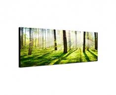 Panoramabild auf Leinwand und Keilrahmen 150x50cm Wald BÃ¤ume FrÃ¼hling Sonnenstrahlen