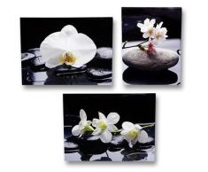 3 er Set Wandbild blühende Orchidee auf Stein je 30cm x 40cm Leinenbild Feng Shui