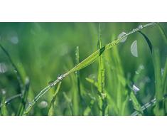 Weihnachtsgeschenk Puzzle 1000 Teile DIY Erwachsene Kinder Puzzle Casual Puzzle Gras Kristall Tau