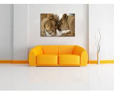 Kuschelnde Löwen Format: 60x40 cm auf Leinwand, XXL riesige Bilder fertig gerahmt mit Keilrahmen, Kunstdruck auf Wandbild mit Rahmen, günstiger als Gemälde oder Ölbild, kein Poster oder Plakat