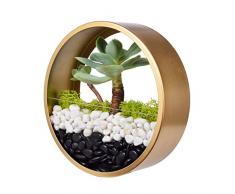 Ecosides Rund Metall Wand Blumentöpfe,Transparent Glas Pflanzgefäße Kunst Wandvase Von Blumen Bonsai Succulents Kräuter Farn Air Plant Töpfe Mit Creative Modern Wand-Dekor Für Office Home Haus Zimmer