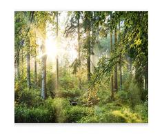 murando - Fototapete selbstklebend Wald 343x256 cm decor Tapeten Wandtapete klebend Klebefolie Dekofolie Tapetenfolie - Wald Landschaft Natur Sonne Grün Bäume Sonnenuntergang c-C-0032-a-b