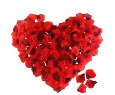 Newland Rosenblätter Rosenblüten für Hochzeit Party und Romantische Atmosphäre (Rose Rot) (4000Stück)