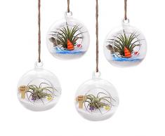 T4U 13,5cm Glasvase zum Anfhängen 4er-Set, Hängende Glaskugeln Pflanzgefäße für Sukkulenten und Kakteen, Luftpflanzen Halter Teelichthalter…