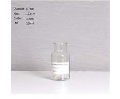 VBJDKB Retro Gold Kupfer Ring Grün Milchglas Vasen Vintage Matte Alte Glasflasche Blumenvase Ornament Startseite Hochzeit, Transparent 250Ml