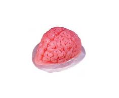 Halloween Puddingform Gehirn