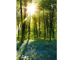 empireposter Forests - Sunrise Bluebell Wood - Poster Foto Landschaft Wälder Plakat Druck - Größe cm