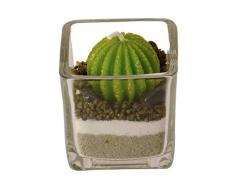 trendaffe Kugel Kaktus im Glas Kerze -