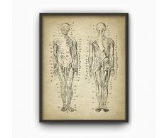 Rac76yd Muscle Man Vintage Anatomie Wandposter anatomische Position der Muskeln Physiotherapie Ergotherapie