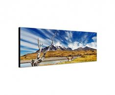 Panoramabild auf Leinwand und Keilrahmen 150x50cm Chile Patagonien Nationalpark Landschaft