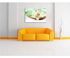 Schöne Lilie Blüte auf Bananenblatt Format: 80x60 auf Leinwand, XXL riesige Bilder fertig gerahmt mit Keilrahmen, Kunstdruck auf Wandbild mit Rahmen, günstiger als Gemälde oder Ölbild, kein Poster oder Plakat