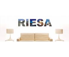 Wandtattoo farbige Wandschrift Städtename Riesa mit Sehenswürdigkeiten 80 x 18 cm Länge