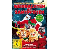 Weihnachten auf Samtpfoten (2015) mit Weihnachtsstrumpf, 1 DVD