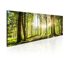 murando - Bilder Wald 150x50 cm Vlies Leinwandbild 1 TLG Kunstdruck modern Wandbilder XXL Wanddekoration Design Wand Bild - Waldlandschaft Natur Panorama Baum c-B-0077-b-b