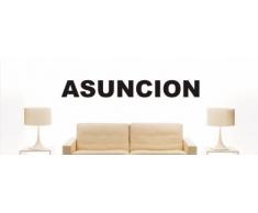 Wandtattoo w1139 Mehrfarbige Wandschrift mit Sehenswürdigkeiten und Stadtnamen - Aufkleber - Dekoration - Stadt Asuncion 96x12