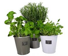 khevga Kräutergarten Küche Metall-Übertopf 3er Set