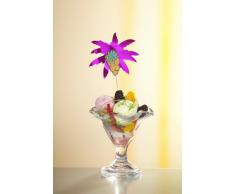 50 Deko-Picker 19,5 cm farbig sortiert Palmblätter