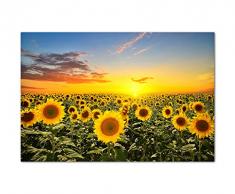 Panoramabild 120x80 cm - Sonnenblumen-Feld Helianthus beim Sonnenuntergang unter blauem Himmel! Tolle Farben! - Bild auf Keilrahmen modern stilvoll - Bilder und Dekoration