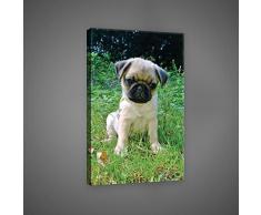 Welt-der-TräumeWANDBILD CANVASBILD Wandbild Leinwandbild Kunstdruck Canvas | Welpe Mops | O4 (60cm. x 40cm.) | Canvas Picture Print PP10521O4-MS | tiere haustiere hund hunde welpe kinder mops
