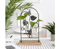 CBVG Glasvase Dekorative Drahtvase Pflanzgefäß Vase Schreibtischvase Für Zuhause, 1