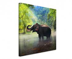 Paul Sinus Art Quadratische Fotoleinwand 90x90cm Tierfotografie – Elefant, Kanchanaburi Provinz, Thailand auf Leinwand Exklusives Wandbild Moderne Fotografie für ihre Wand in vielen Größen