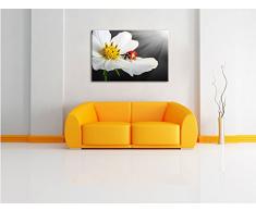 Marienkäfer auf einer weißen Blume B&W Detail, Format: 60x40 auf Leinwand, XXL riesige Bilder fertig gerahmt mit Keilrahmen, Kunstdruck auf Wandbild mit Rahmen, günstiger als Gemälde oder Ölbild, kein Poster oder Plakat