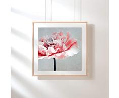 Fotografie Print Kunstdruck 12x12cm Mohnblume Romantik Quadrat