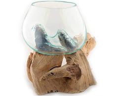 Gedeko Wurzel mit Glasvase Rund Ø ca.11-12 cm Glas Kugelvase Vase auf Holz Wurzelholz