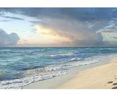 ForWall Fototapete Vlies - Wanddekoration Wandtapete - Strand Meer VEXXL (312cm. x 219cm.) AMF13037VEXXL Wandtapete Design Tapete Badezimmer,Büro