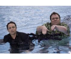 Chaos unterm Weihnachtsbaum