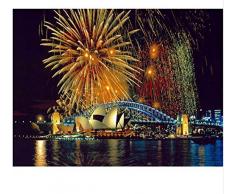 DIY Malen Nach Zahlen Geschenk Für Erwachsene DIY digitales Ölgemälde Leinwand Malen Nach Zahlen Kits für Erwachsene Anfänger Kinder Feuerwerk Sydney Opera Landscape 40X50CM No Frame