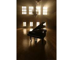Poster - Piano 01 (90.0 cm x 60.0cm) - Musik Flügel Klavier Tasten Instrument Note Konzert Sall Wanddeko Druck Print Kunstdruck Fotografie Foto Artwork Art