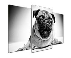 Kunstdruck - Crazy Mops - schwarz weiß - 100x60 cm 3 teilig - Bilder als Leinwanddruck - Wandbild von Bilderdepot24 - Tierwelten - Hund - Haustier - Nahaufnahme eines Mopses