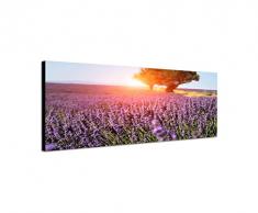 Panoramabild auf Leinwand und Keilrahmen 150x50cm Provence Lavendelfeld Baum Sommer Sonne