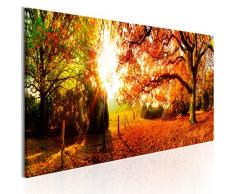 murando - Bilder Wald 135x45 cm Vlies Leinwandbild 1 TLG Kunstdruck modern Wandbilder XXL Wanddekoration Design Wand Bild - Waldlandschaft Natur Panorama Baum Herbst Baum Sonne c-B-0244-b-a
