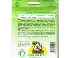 Chrestensen Ostergras für ca. 25 Schalen Samen Gras Saatmischung