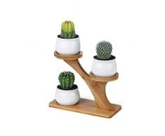 WUYANSE Dreischichtiges Blumentopf-Set, Innovative saftige Pflanzenvase mit Bambusrahmen, Home-Office-Dekoration, Pflanzen Nicht enthalten