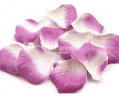 Rosenblätter zur Dekoration weiss - lila Hochzeit Kommunion Taufe NEU*OVP