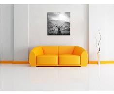 eine Berg Farm in Asien im Sonnenschein Kunst B&W, Format: 40x40 auf Leinwand, XXL riesige Bilder fertig gerahmt mit Keilrahmen, Kunstdruck auf Wandbild mit Rahmen, günstiger als Gemälde oder Ölbild, kein Poster oder Plakat