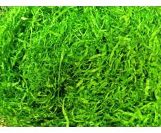 Papier Ostergras 100 g