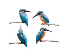 Stickers4 Vogel-Fensteraufkleber zum Schutz gegen Vogelschlag - Vier schöne Eisvögel-Glasaufkleber, doppelseitig und selbstklebend zum Schutz gegen Vogelkollisionen