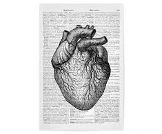 artboxONE Poster 30x20 cm Anatomie Schwarzweiß Herz - Bild Märchen romantik lexikonseiten
