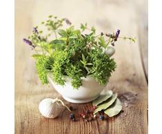 Artland Echt-Glas-Wandbild Deco Glass BeTa-Artworks Verschiedene Kräuter - Küche Stillleben Arrangements Lebensmittel Fotografie Grün