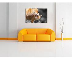 süße kuschelnden Füchse schwarz/weiß Format: 60x40 auf Leinwand, XXL riesige Bilder fertig gerahmt mit Keilrahmen, Kunstdruck auf Wandbild mit Rahmen, günstiger als Gemälde oder Ölbild, kein Poster oder Plakat